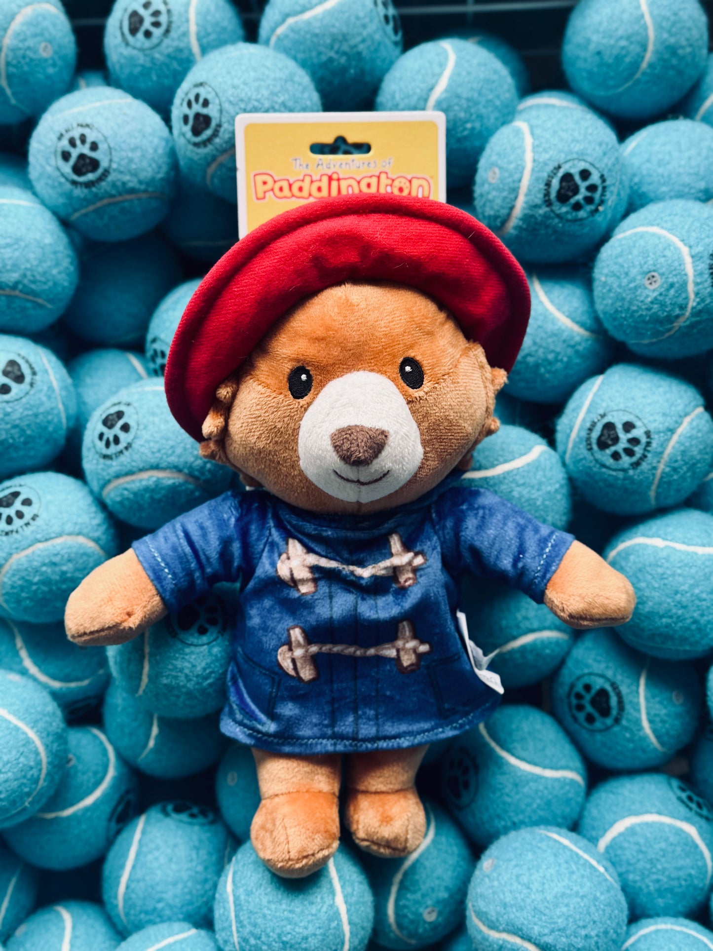 Happy Pet - Paddington Bear