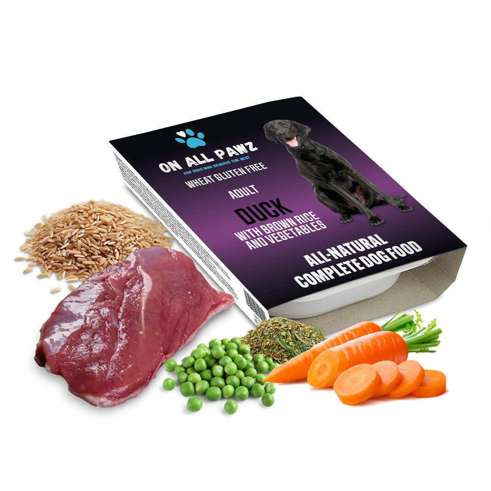 Dog food package with ingredients like meat, vegetables, and grains on a white background