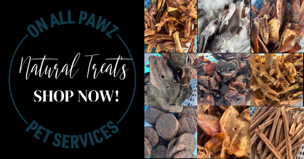 Pawz shop discount