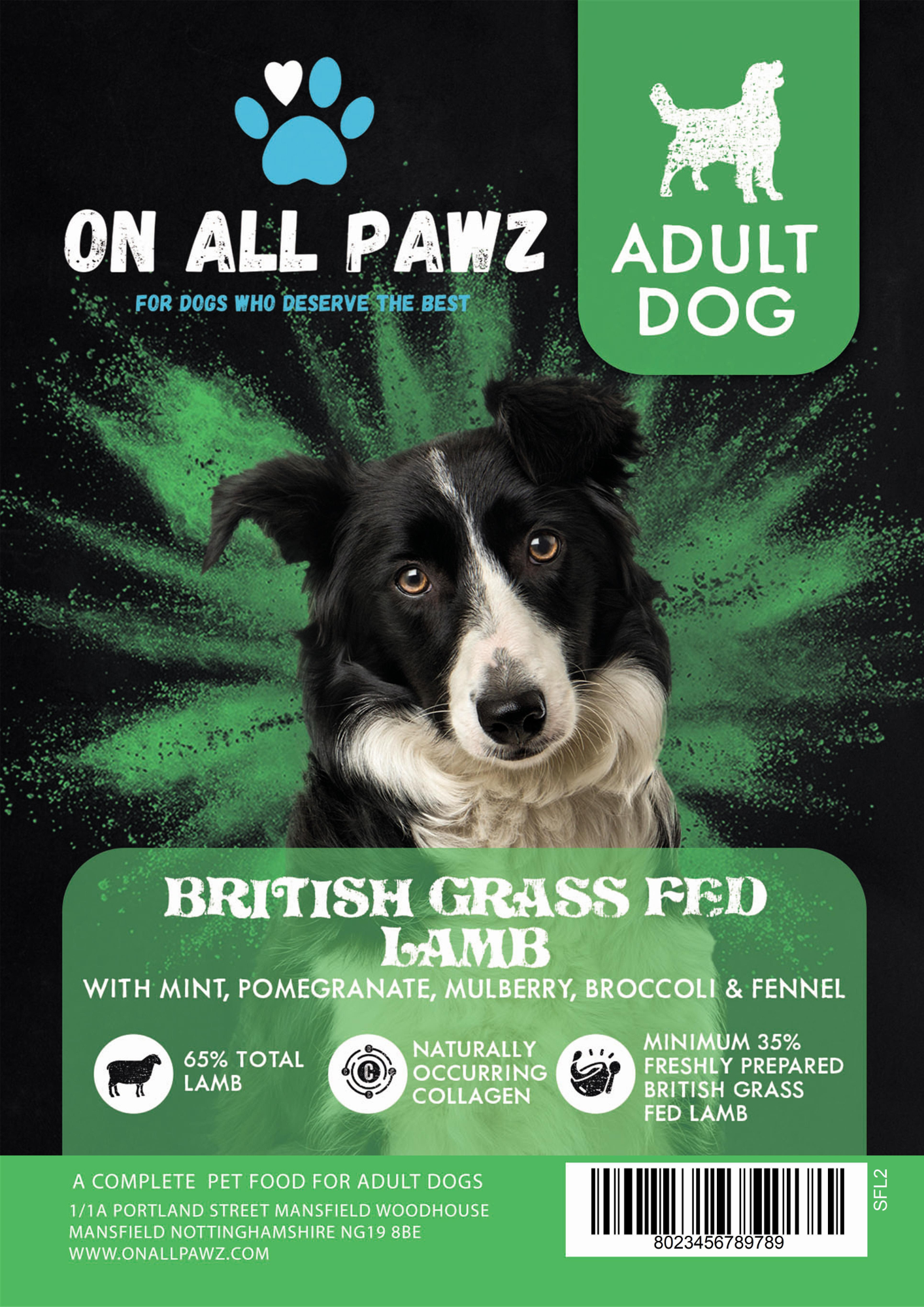 Dog food package for adult dogs with a black and white dog on a green and black background.