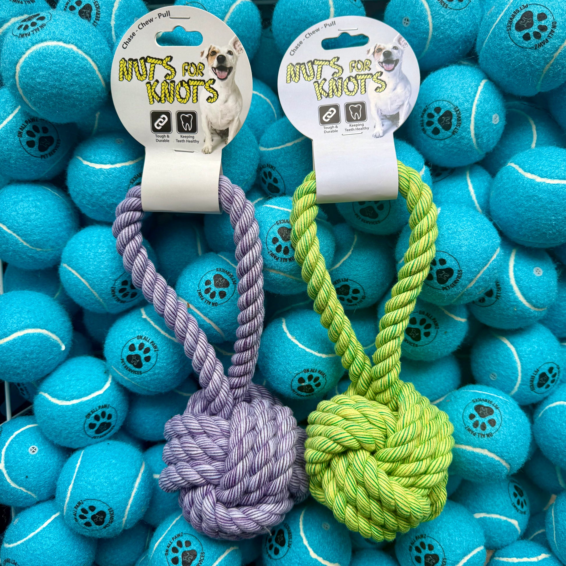 Two dog toys with knotted ends on a background of blue tennis balls.