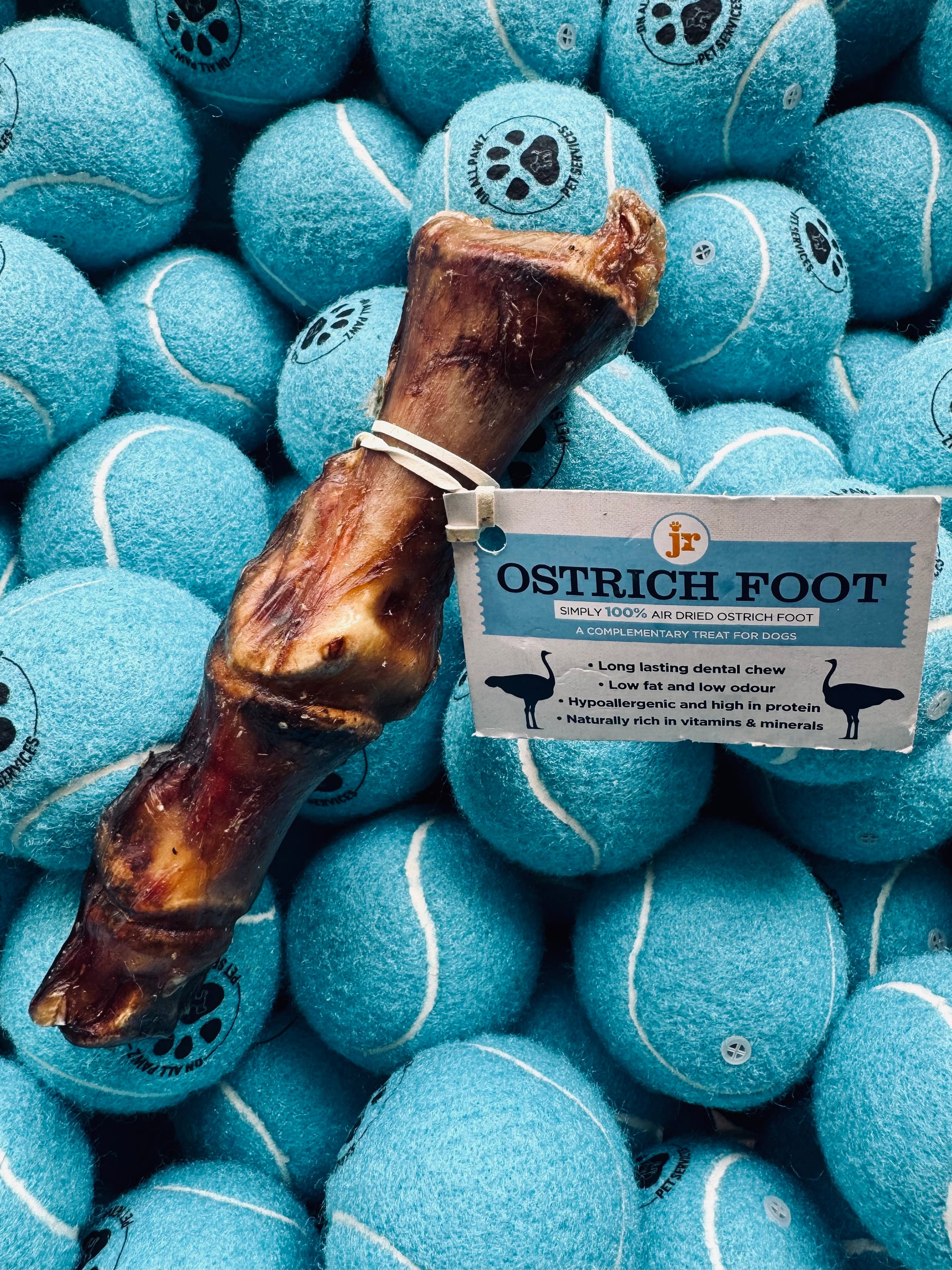Ostrich foot treat with a label on top of blue tennis balls