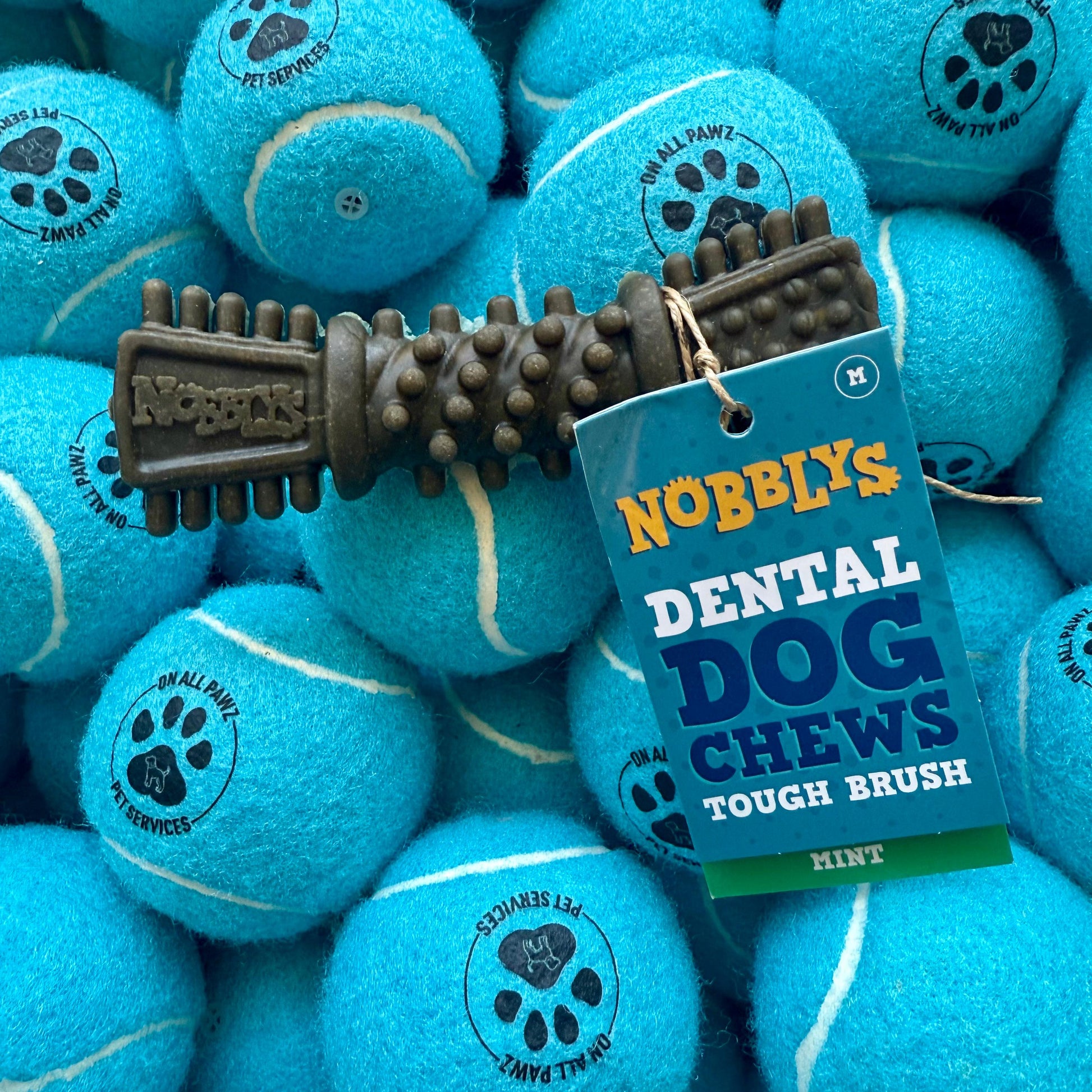 Nobby's dental dog chew toy with a tag on blue tennis balls