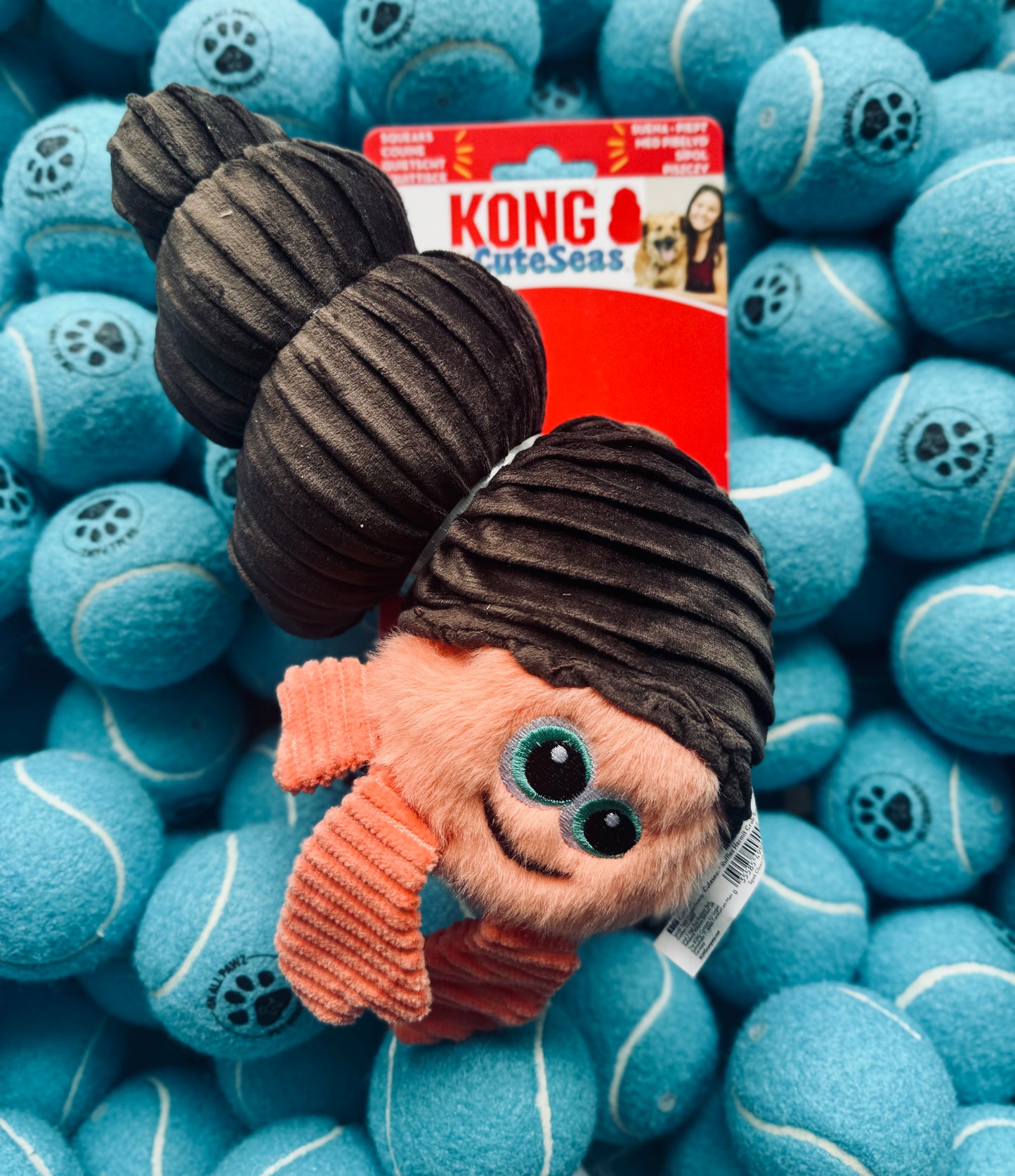 KONG CuteSeas Rufflez Hermit Crab | Plush Dog Toy with Squeaker