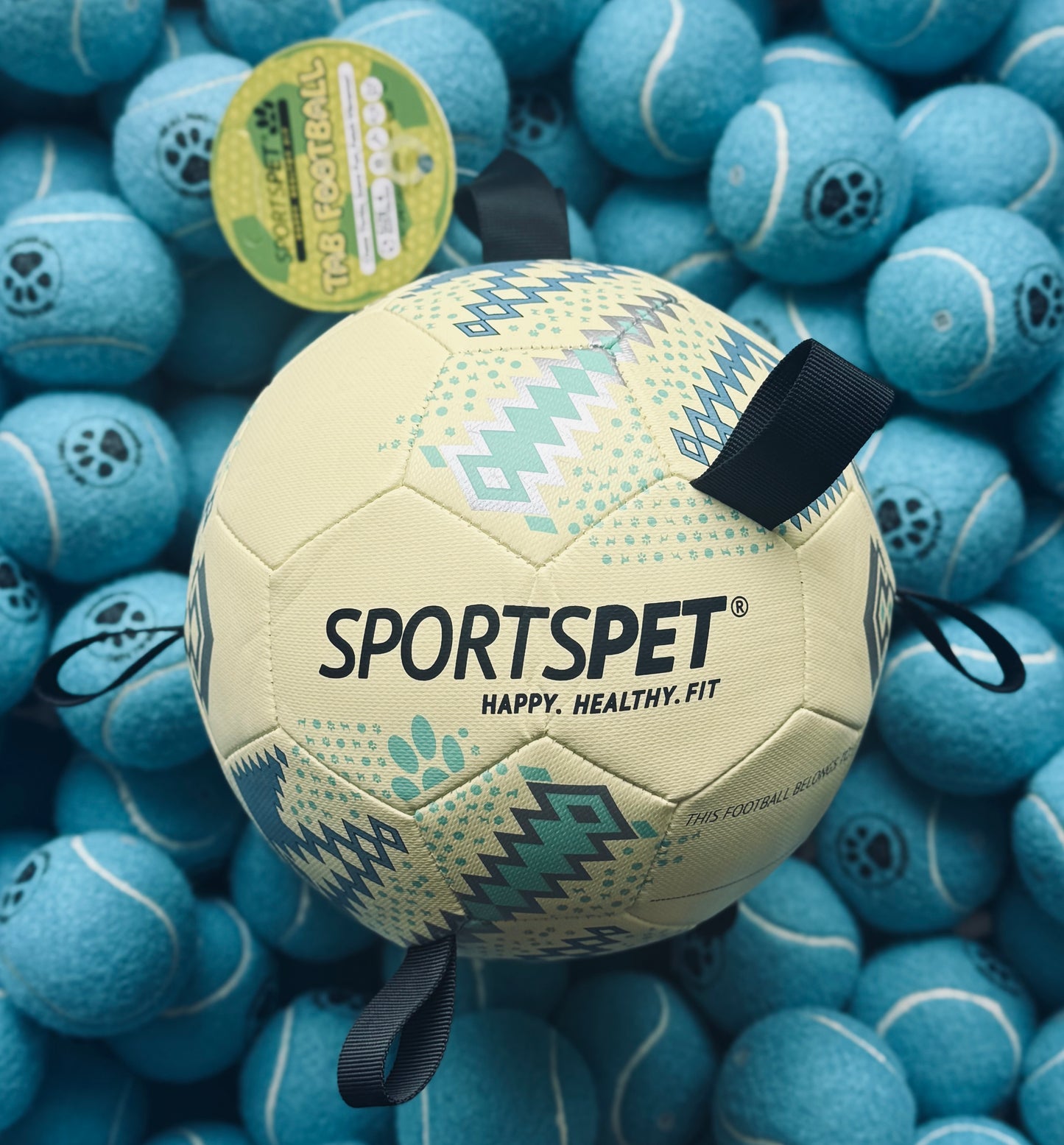 Sportspet Tab Football Size 4