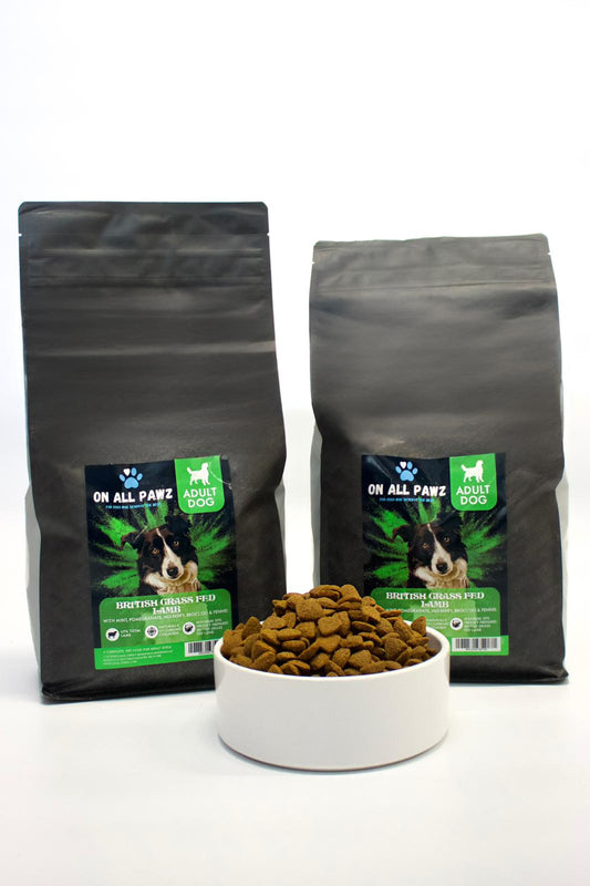 Lamb Dog Food 2kg | Grain-Free | High Protein | Joint & Coat Support