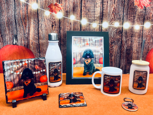 Personalised Pet Photo Gifts | Custom Mugs, Keyrings, Prints & Slates – On All Pawz