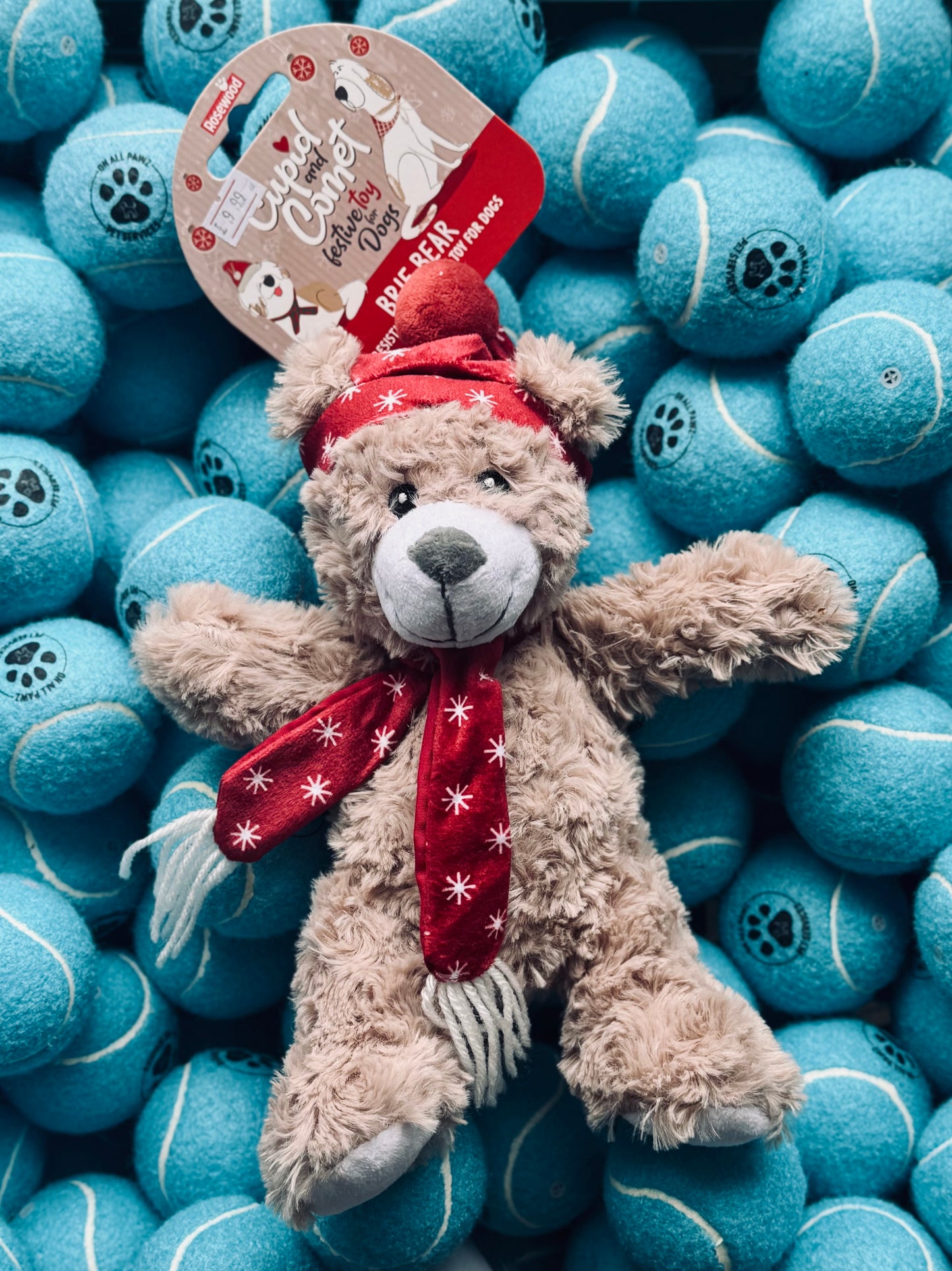 Rosewood Cupid & Comet Brie Bear Dog Toy | Festive Plush Christmas Bear with Squeaker