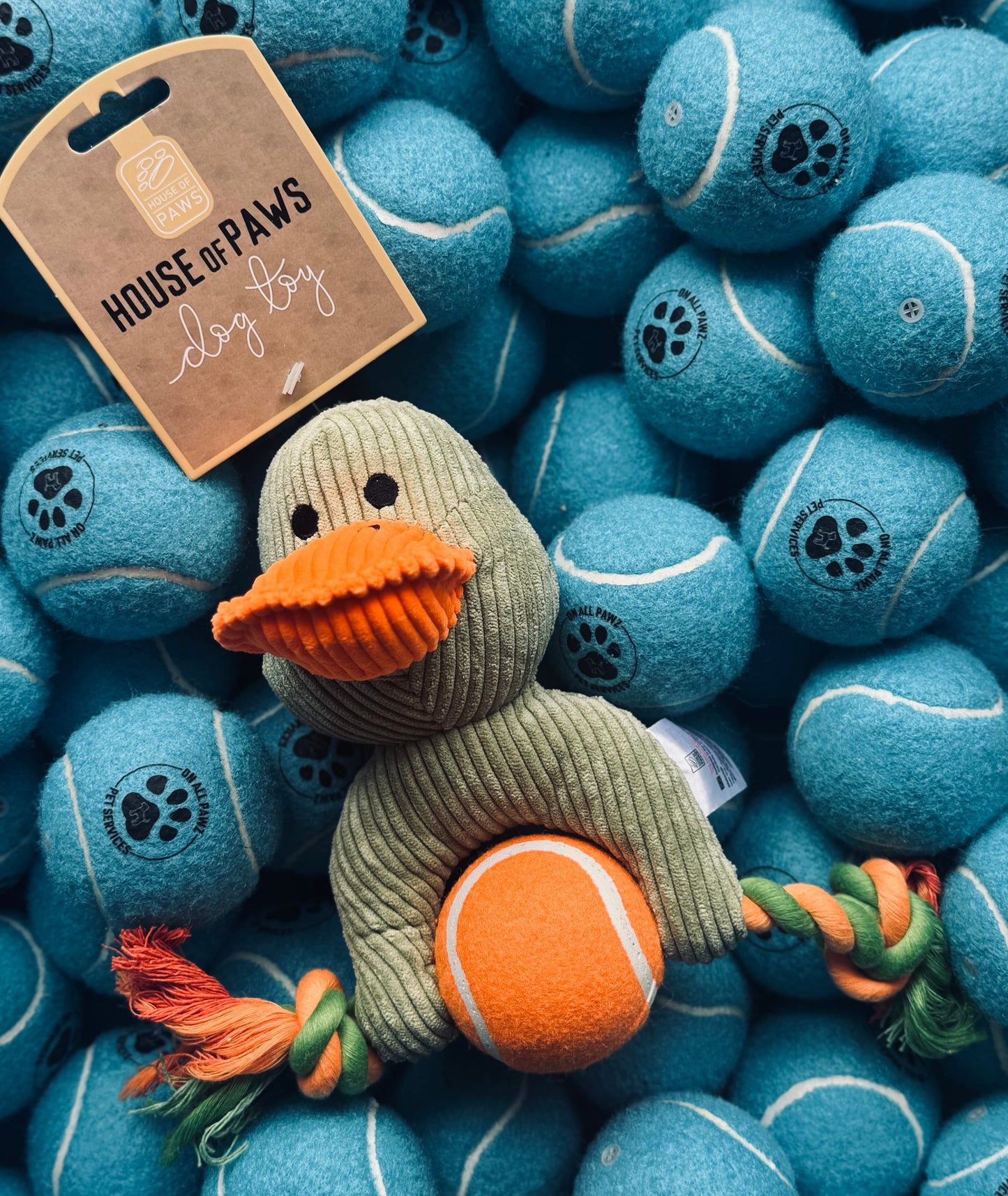 House of Paws Cord and Ball Duck Dog Toy