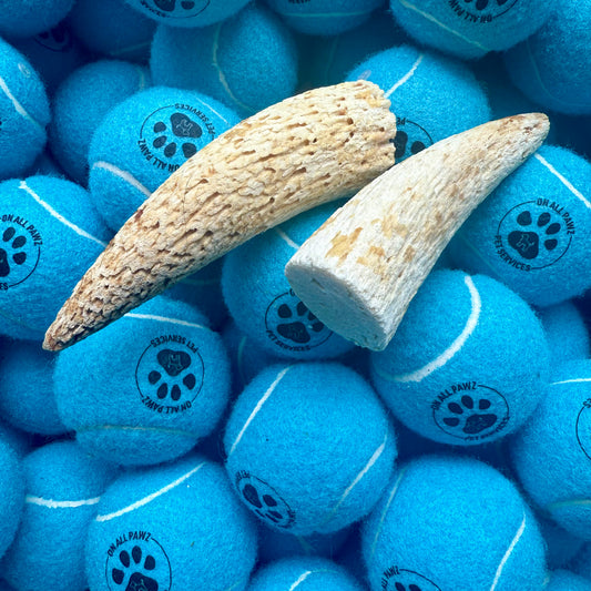 Two bone-shaped dog chew toys on a pile of blue tennis ball dog toys with paw prints.