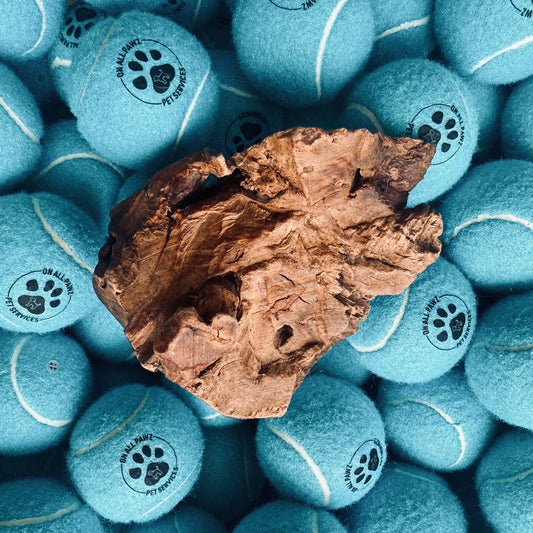 Brown dog chew toy on top of blue tennis balls with paw prints.