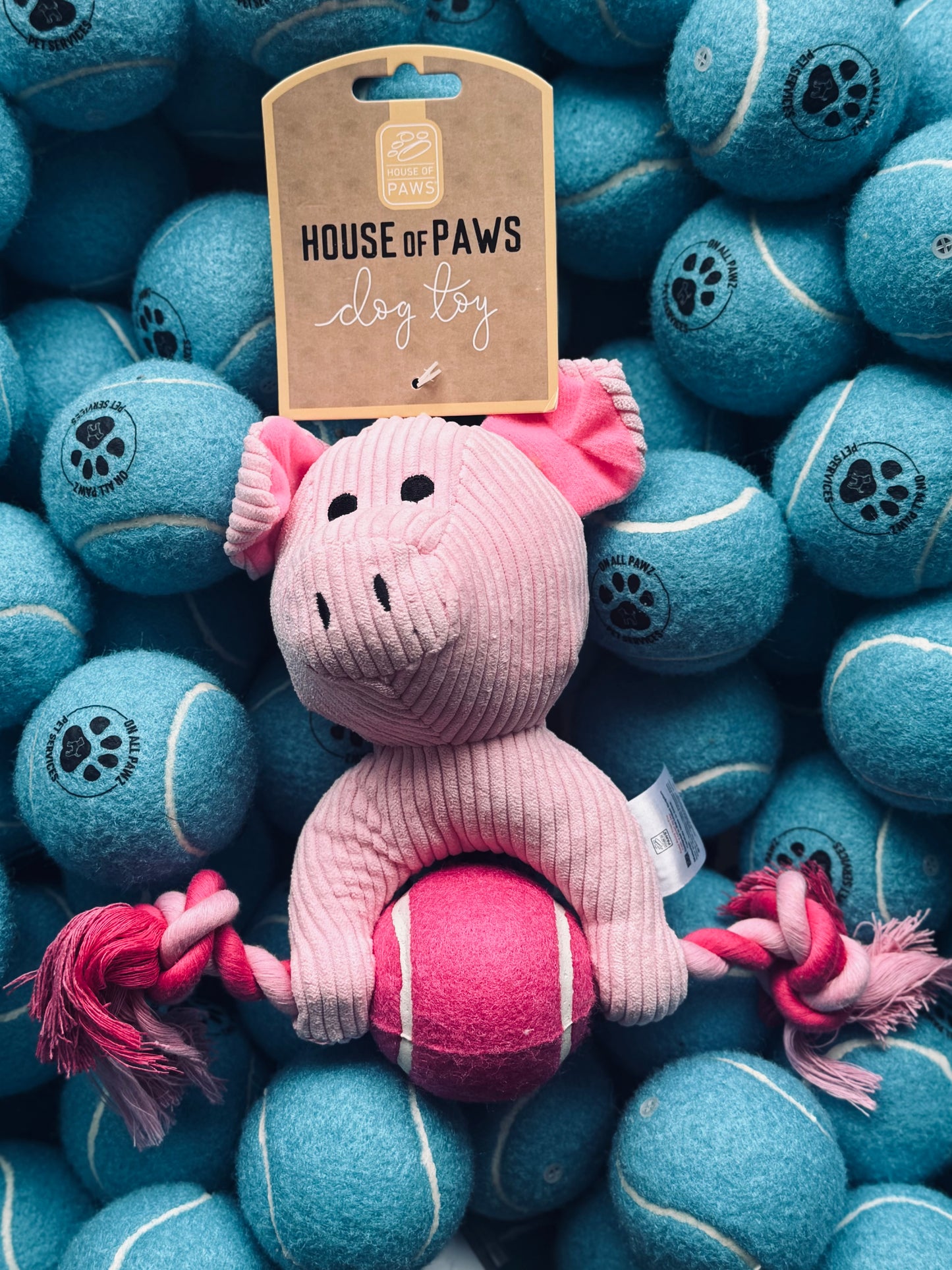 House of Paws Cord and Ball Pig Dog Toy