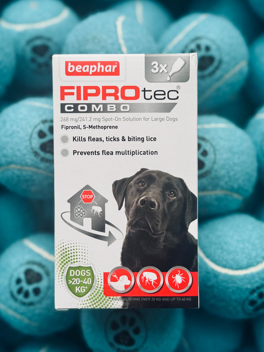 Packaging of Beaphar Fiprotec Combo for Large Dogs with three pipettes, featuring a picture of a black dog and product information.