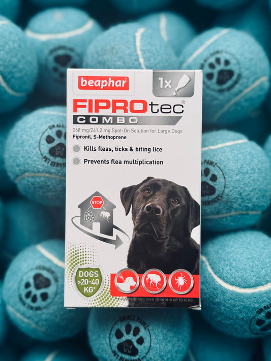 Packaging of Beaphar Fiprotec Combo for Large Dogs with a picture of a black dog and text detailing product use for flea and tick protection.