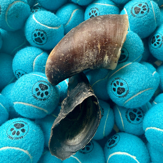 Blue tennis balls with paw prints and two worn shells on top