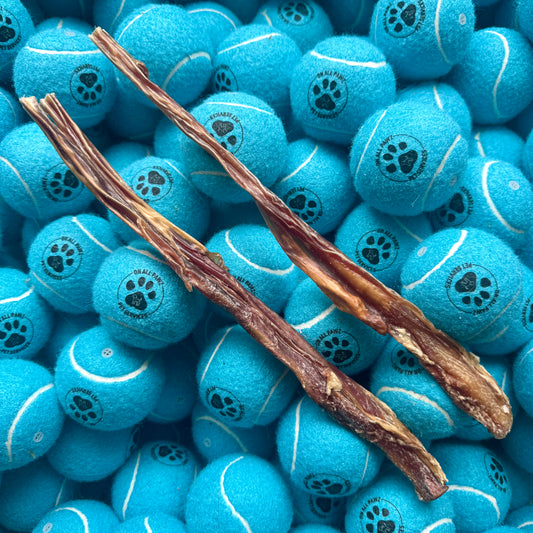Blue dog toys with paw prints and two brown dog sticks on top