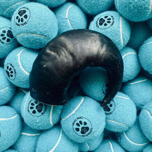 Black dog toy surrounded by blue tennis balls with paw prints on a pile of blue tennis balls.