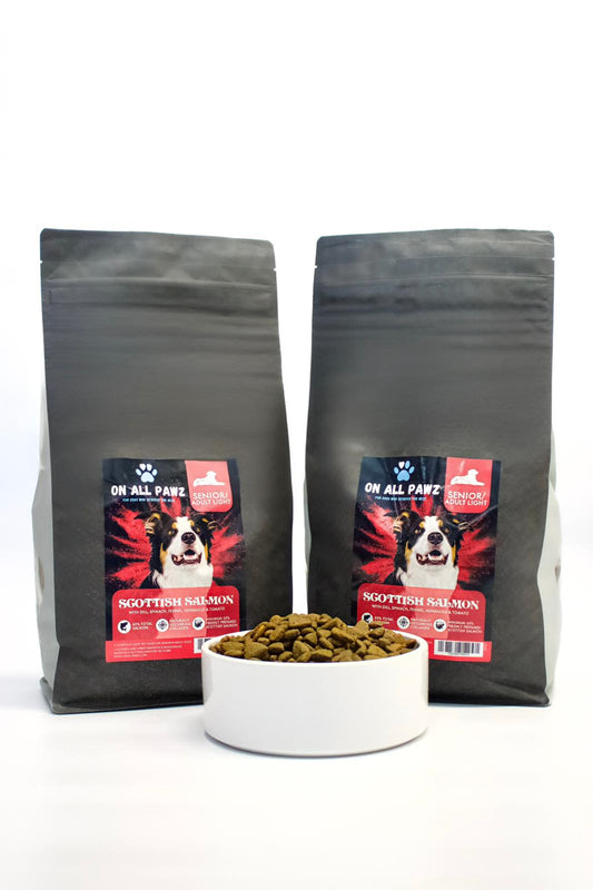 Adult Salmon Grain-Free Dog Food 2kg | High Protein & Joint Support