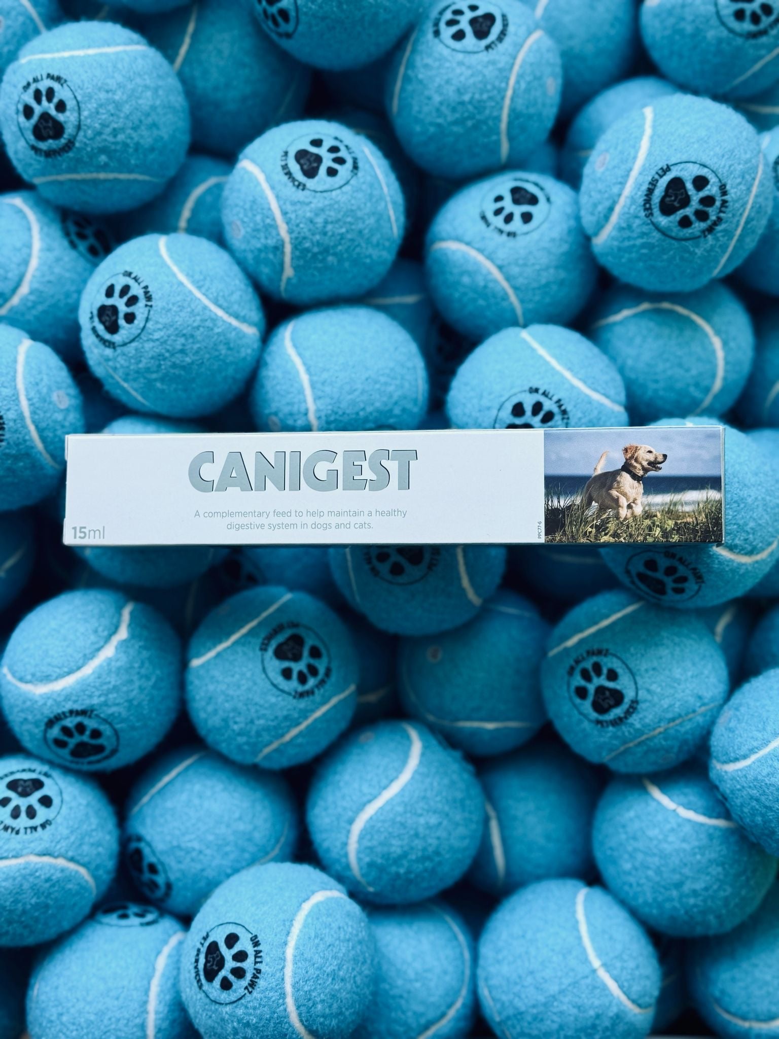 Stack of blue tennis balls with paw prints and 'CANIGEST' branding.