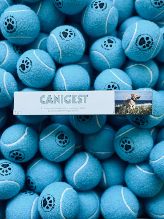 Stack of blue tennis balls with paw prints and 'CANIGEST' branding.