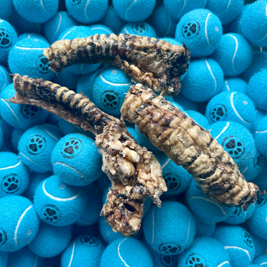 Three large, dried animal treats on a bed of blue tennis balls with paw prints.