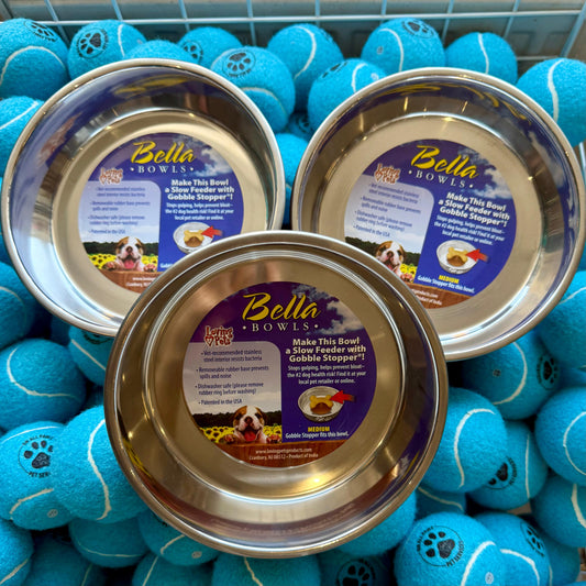 Bella Bowl Dog Feeding Dish Medium | Stainless Steel | Non-Skid | Dishwasher Safe
