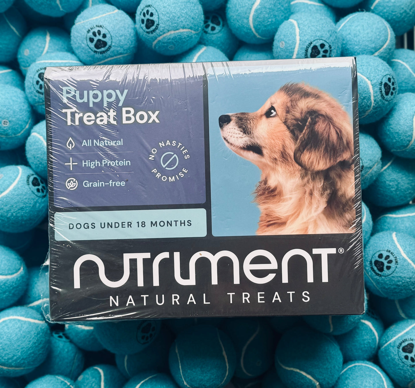 Puppy Treat Box