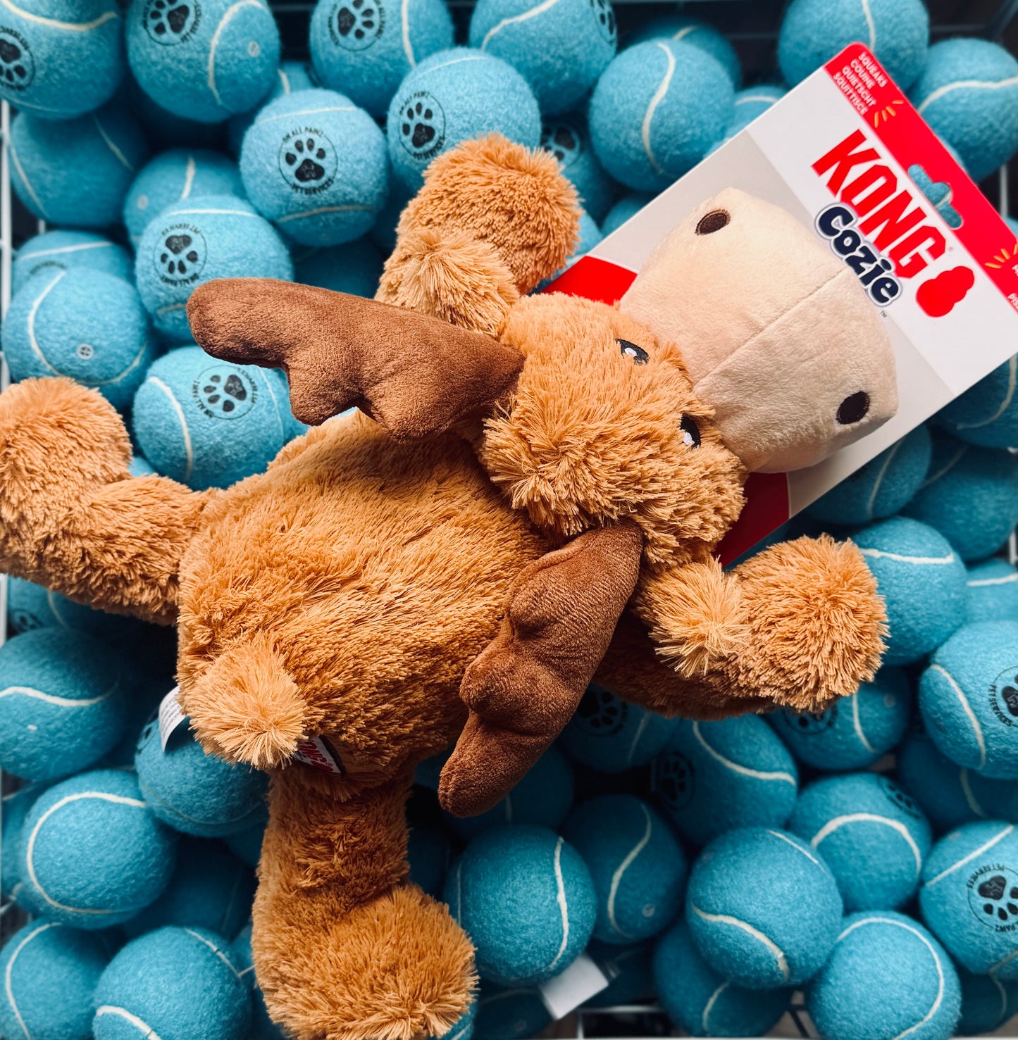 KONG Cozie™ Marvin Moose XL | Soft Plush Dog Toy with Squeaker for Gentle Play & Snuggles