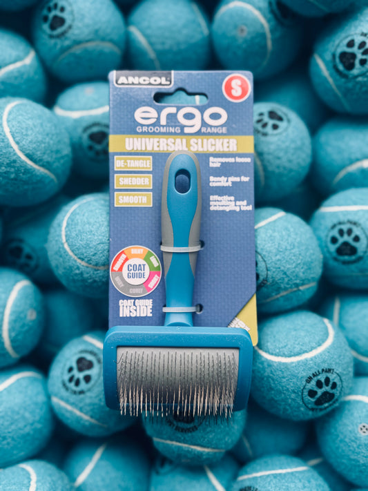 An Ancol Ergo Slicker Brush for pets displayed on a surface with blue tennis balls, indicating the small size of the brush suitable for small breeds or cats.