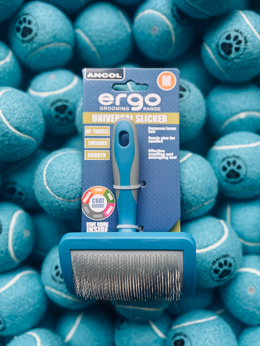 An Ancol Ergo Slicker Brush in medium size, with a blue handle and fine metal bristles, packaged in a card showing the product and brand name, presented against a background of blue tennis balls with paw prints.