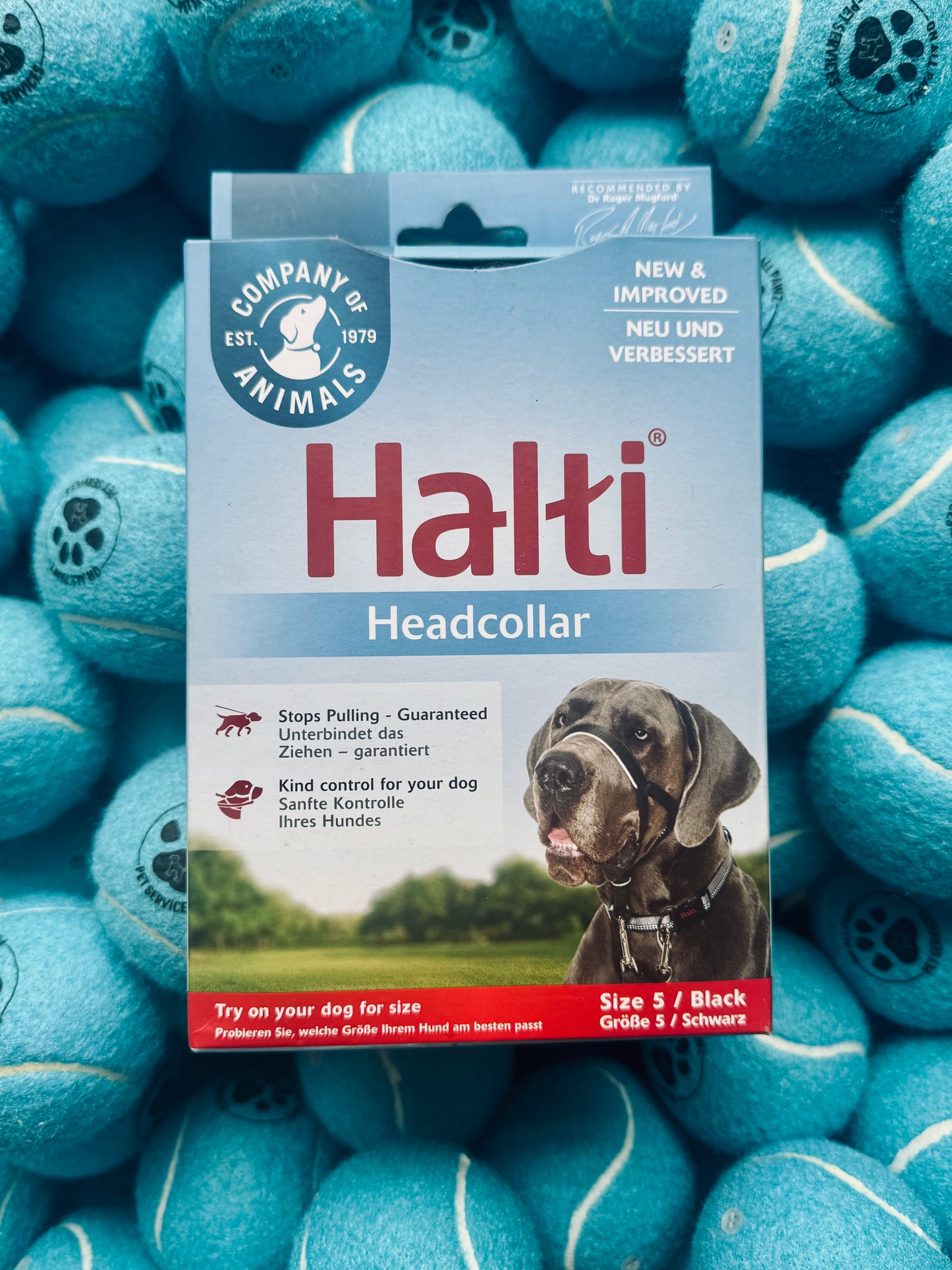 CoA Halti Headcollar Size 5 Black