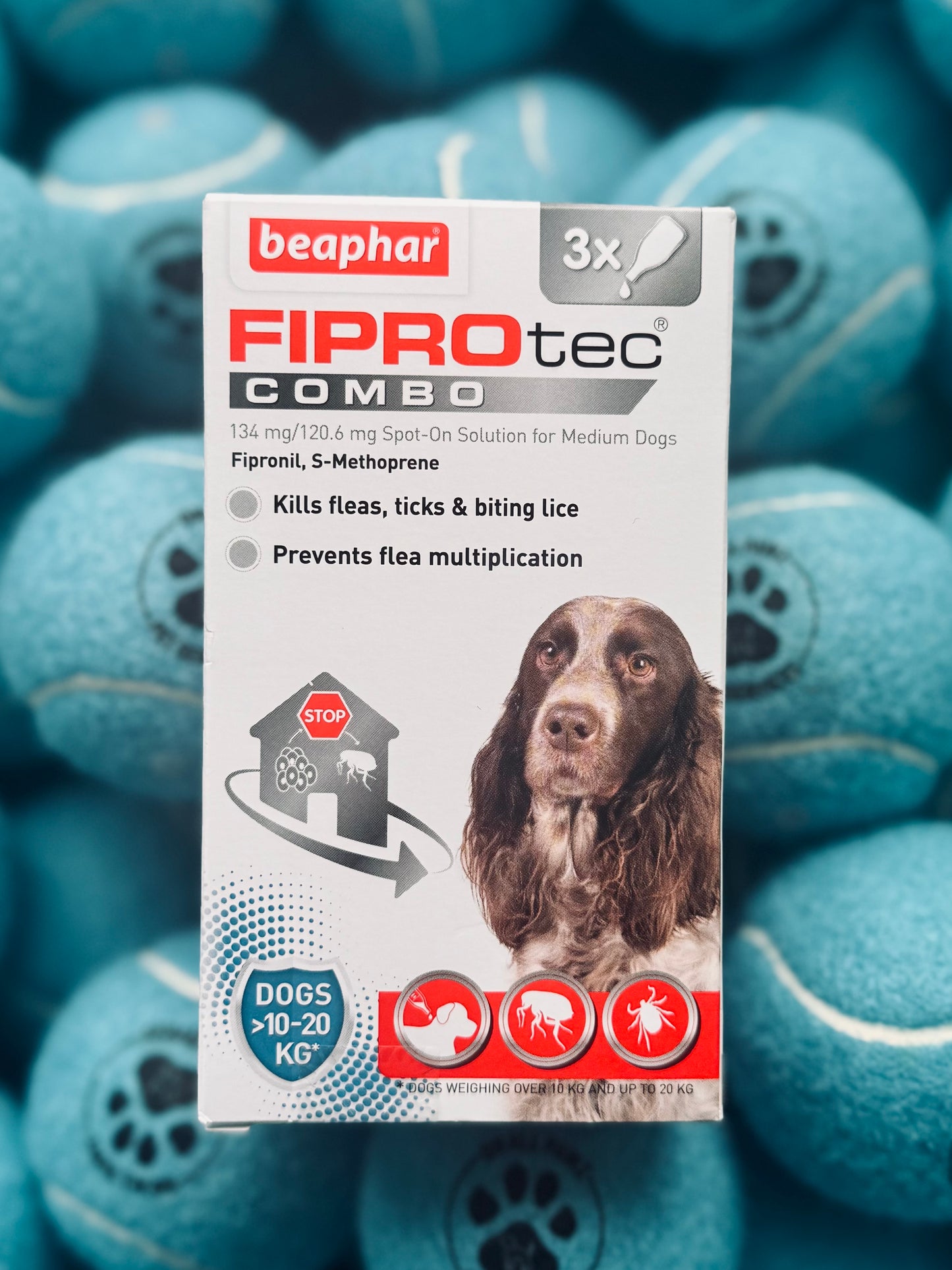 Packaging of Fiprotec Combo for medium dogs showing the product name, a picture of a dog, and the weight range of 10-20kg.
