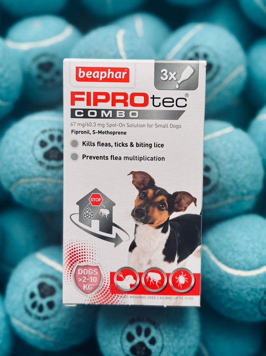 Packaging of Beaphar Fiprotec Combo with three pipettes for small dogs, displayed on a background with dog-themed graphics.