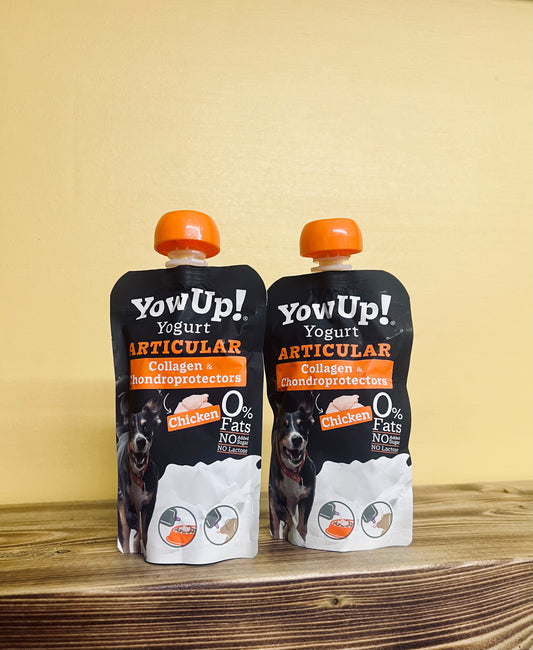 Yowup! Yogurt - Chicken Flavour