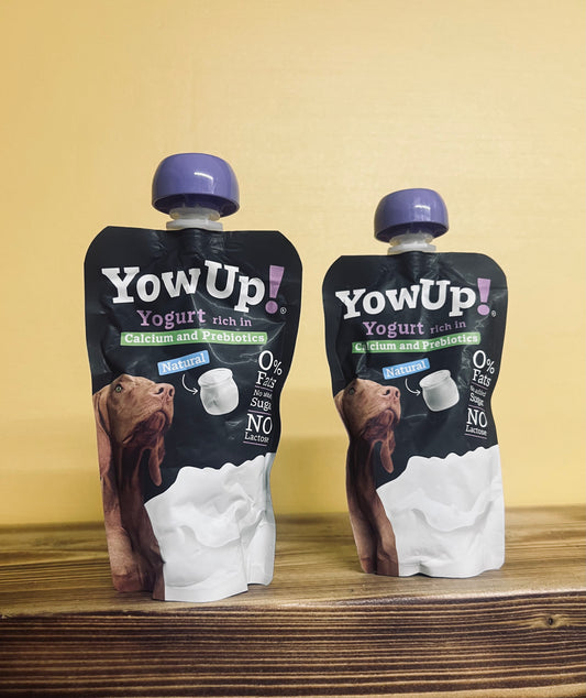 Yowup! Yogurt - Natural