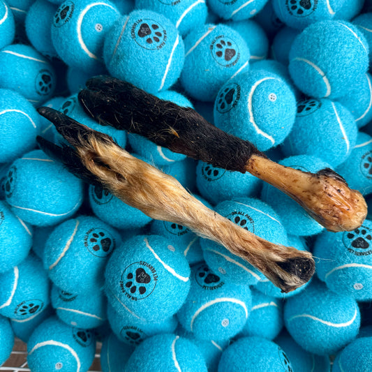 Blue tennis balls with paw prints and two dog chew toys on top
