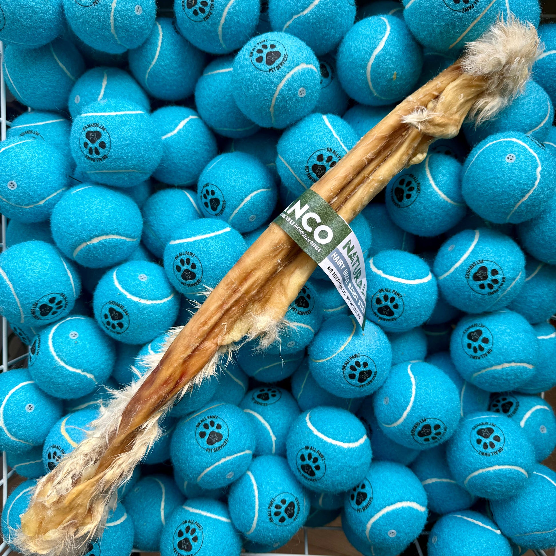 Blue tennis balls with paw prints and a wooden stick on a white background