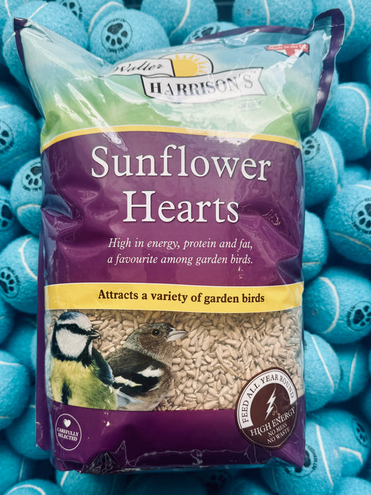 Bag of Harrisons Sunflower Hearts bird seed on a blue background