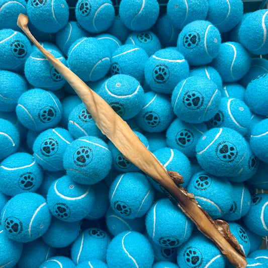 Blue tennis balls with paw prints and a wooden stick on top