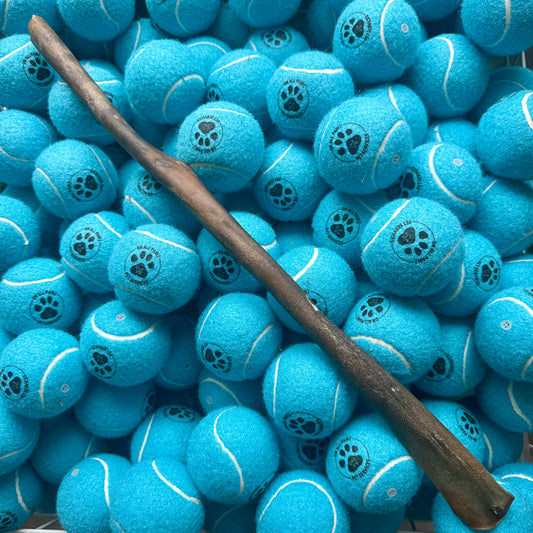 Blue tennis balls with paw prints and a wooden stick on top