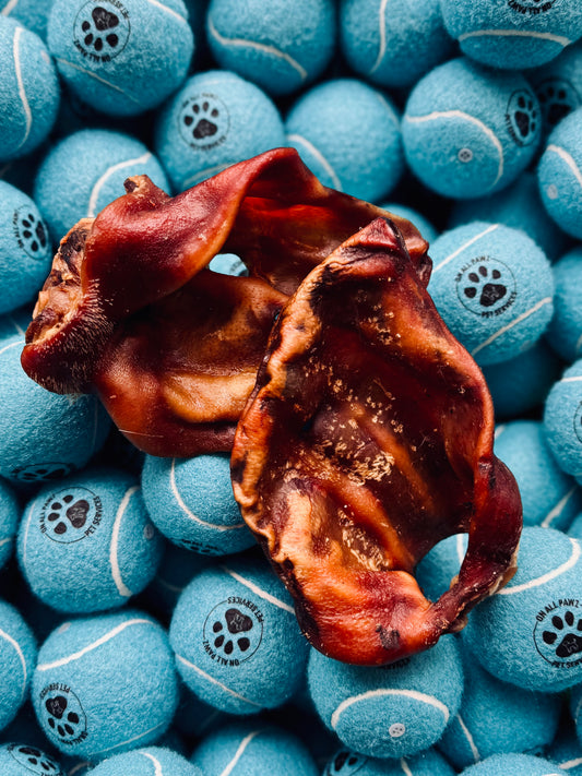 A large pig ear placed on top of a pile of blue tennis balls, each with a paw print design.