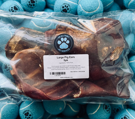A pack of Large Pig Ears in a transparent plastic bag, labeled with the brand 'On All Paws' and indicating a 5-pack quantity.