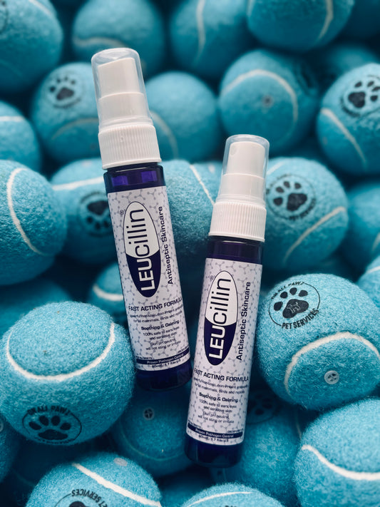 Two bottles of Leucillin antiseptic spray placed on a pile of blue tennis balls, with labels indicating their purpose for pet wound care.