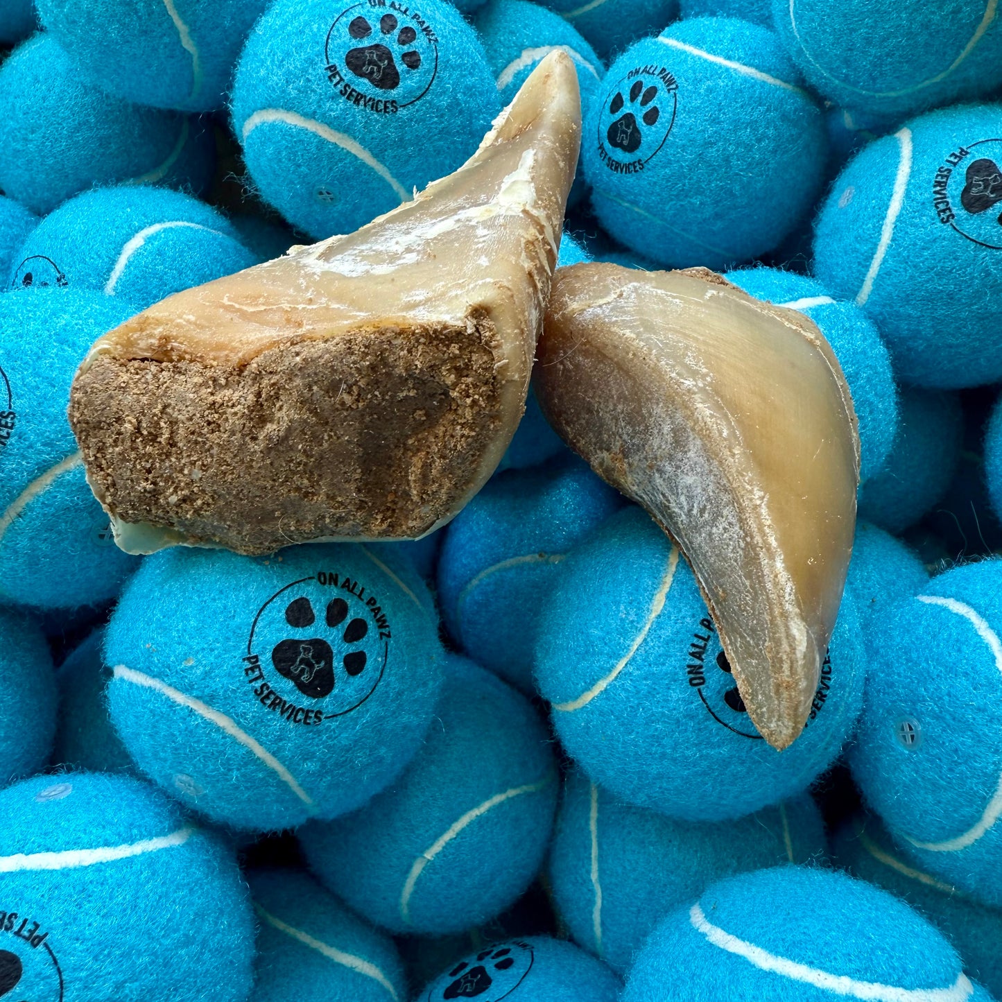 Two dog chew toys on top of blue tennis balls with a paw print logo.
