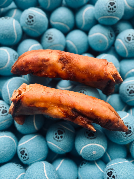 Two natural pork pig trotters placed on a pile of blue tennis balls for dogs.
