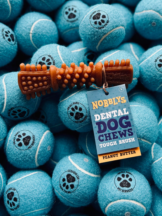 A promotional image featuring a Nobblys Dental Chew Tough Brush in peanut butter flavor, surrounded by blue dog treats with branding text on them.