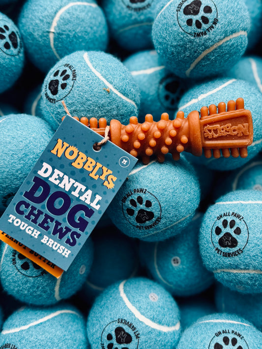 A medium-sized orange dental chew toy designed like a bone with bristles, placed on top of blue tennis balls, indicating it's for dog dental health.