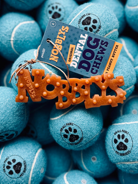A close-up of a peanut butter flavored dog dental chew toy with the brand name 'Nobblys' visible.