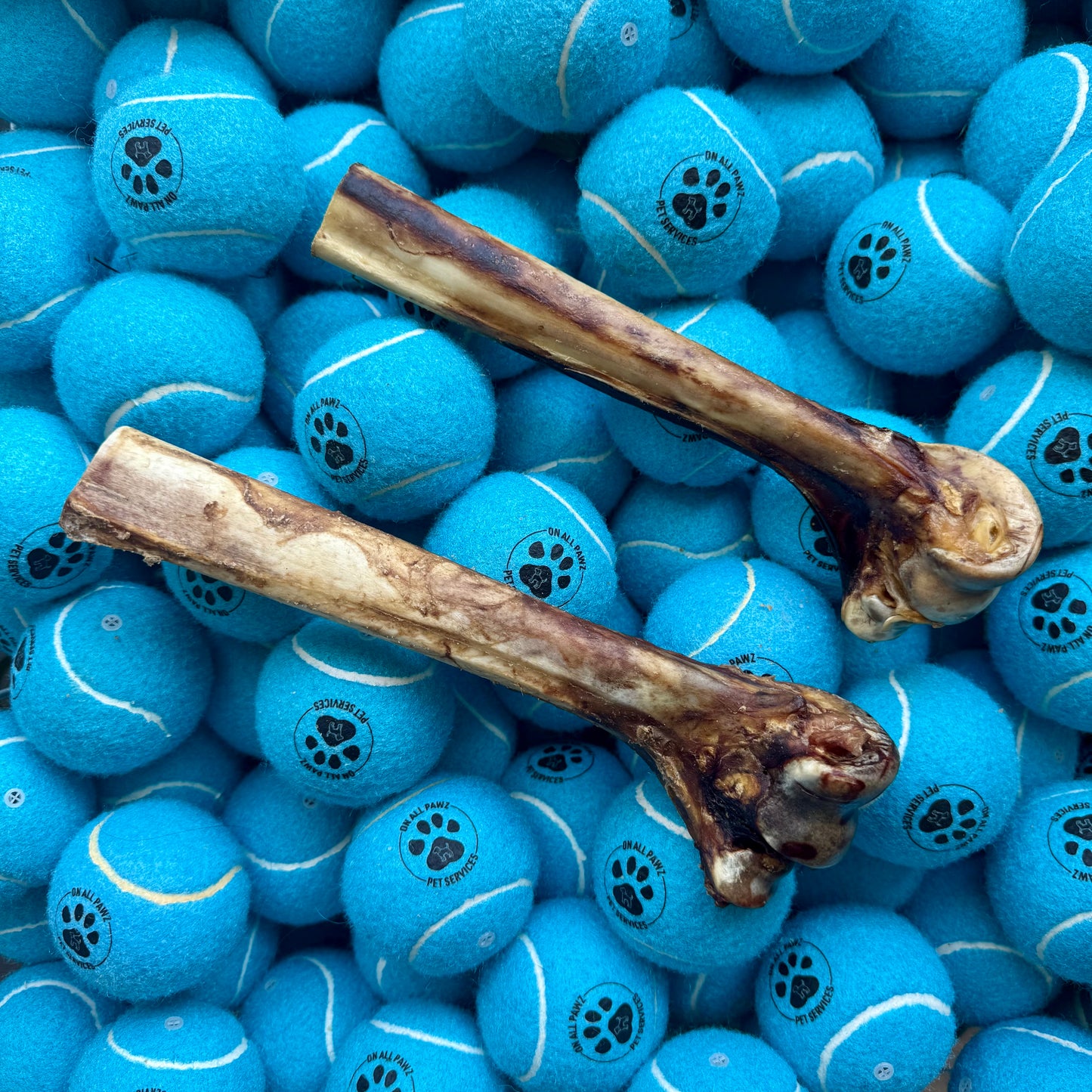 Blue dog toys with paw prints and two wooden sticks on top