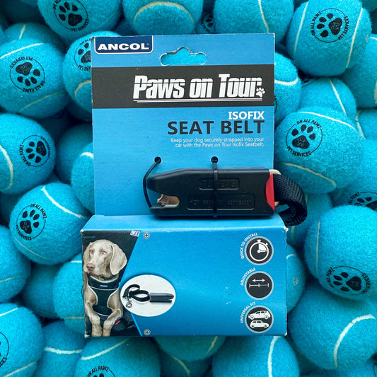 Ancol Paws on Tour seat belt packaging surrounded by blue tennis balls with paw prints.